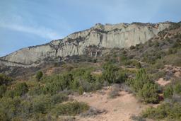 Pigeon creek cliff bands [sat oct 8 17:49:20 mdt 2016]